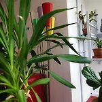 Aaron\'S Sleep-Well B&B Basel